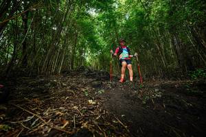 BIB: 
                            <button type="button" onclick="openModal(25101308)" class="btn btn-primary btn-sm float-right btn-popup" data-toggle="modal" data-target=".modal-high-quality">
                        <i class="fas fa-shopping-cart"></i> Add to Cart
                    </button>
                                            <button type="button" onclick="isThisMe(25101308, true)" class="btn btn-success btn-sm float-right btn-popup btn-isme hidden" data-toggle="tooltip" data-placement="bottom" title="นี่คือรูปของคุณใช่ไหม คลิกที่นี่เพื่อเอาเข้าอัลบั้ม">
                        <i class="fas fa-plus"></i> Add to album
                    </button>
                    <button type="button" onclick="isThisMe(25101308, false)" class="btn btn-warning btn-sm float-right btn-popup btn-isnotme hidden">
                        <i class="fas fa-ban"></i> Remove from album
                    </button>